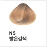 N5 (멋내기염색)