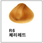 R6  (멋내기염색(혼합색))