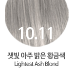 10.11 (잿빛 아주밝은 황금색)