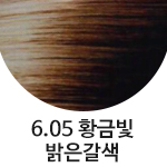 6.05 황금빛밝은갈색 <font color='red'>(품절)</font>